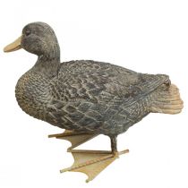 Figurine de jardin Canard Figurine décorative Canard à poser H18cm