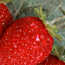 Article Fraises artificielles décoratives L23cm Bouquet de 6 tiges