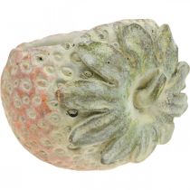 Article Fraise décorative, cache-pot, décoration en béton à planter L17cm