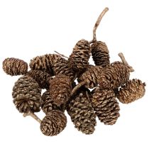 Article Cônes d'aulne, produit naturel pour la décoration et les loisirs créatifs, dorés, 3 cm, 300 g