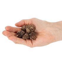 Article Cônes d'aulne, produit naturel pour la décoration et les loisirs créatifs, dorés, 3 cm, 300 g