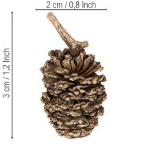 Article Cônes d'aulne, produit naturel pour la décoration et les loisirs créatifs, dorés, 3 cm, 300 g