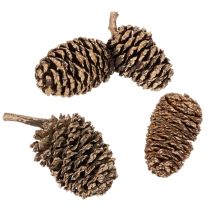 Article Cônes d'aulne, produit naturel pour la décoration et les loisirs créatifs, dorés, 3 cm, 300 g