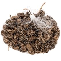 Article Cônes d'aulne, produit naturel pour la décoration et les loisirs créatifs, dorés, 3 cm, 300 g