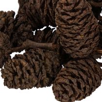 Article Cônes d'aulne naturels, en vrac, pour la décoration, 3 cm, 300 g, brun naturel.