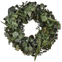 Article Couronne d&#39;eucalyptus couronne naturelle eucalyptus stabilisé Ø35cm