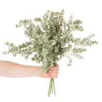 Article Branche d'eucalyptus artificielle, branche décorative pour vases et bouquets, 49 cm, lot de 4