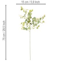 Article Branche d'eucalyptus artificielle à feuilles rondes, 75 cm, lot de 4