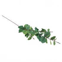 Article Branche d'eucalyptus artificielle eucalyptus vert 64cm