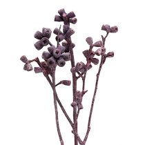 Article Branche d'eucalyptus Couleur mûre givré 17-35cm 25 pcs
