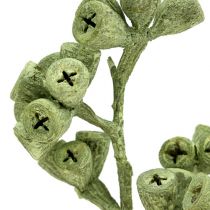 Article Branche d&#39;eucalyptus vert givré 25 pcs