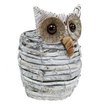 Article Hibou de plantation blanc 23cm