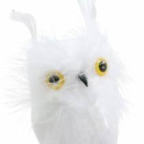Décoration de bouquet Owl White 10cm 2pcs