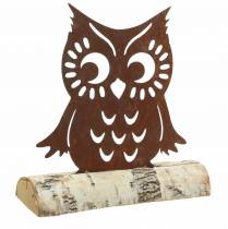 Chouette patine sur tronc de bouleau 18cm x 17cm