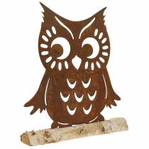 Chouette patine sur tronc de bouleau 42cm x 36cm