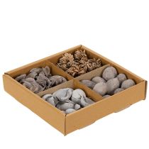 Article Décoration de table en pot-pourri avec des noix pour une ambiance estivale naturelle