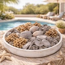 Article Décoration de table en pot-pourri avec des noix pour une ambiance estivale naturelle