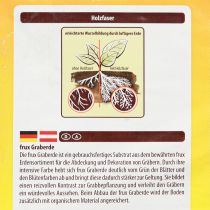 Article Terreau FRUX (10 litres)
