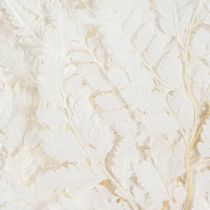 Article Décoration de fougère Vraies frondes de fougère blanches préservées 45 cm 10 pièces