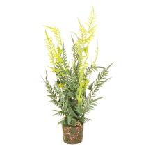 Article Fougère artificielle avec motte de racines, idéale pour la décoration de la maison et du bureau, 57 cm