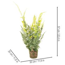 Article Fougère artificielle avec motte de racines, idéale pour la décoration de la maison et du bureau, 57 cm
