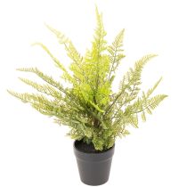 Article Fougère artificielle en pot pour décoration intérieure, 40 cm