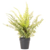 Article Fougère artificielle en pot pour décoration intérieure, 40 cm