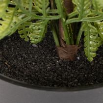 Article Fougère artificielle en pot pour décoration intérieure, 40 cm