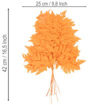 Article Frondes de fougère séchées et conservées pour l'art floral et la décoration automnale, 42 cm, lot de 10.