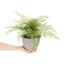 Article Fougère artificielle en pot pour salon et bureau, 35 cm