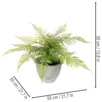 Article Fougère artificielle en pot pour salon et bureau, 35 cm
