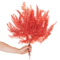 Article Fougères, fleurs séchées et préservées, décoration d'automne, 60 cm, 10 pièces
