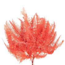 Article Fougères, fleurs séchées et préservées, décoration d'automne, 60 cm, 10 pièces