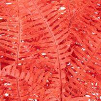 Article Fougères, fleurs séchées et préservées, décoration d'automne, 60 cm, 10 pièces