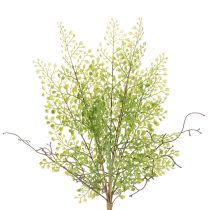 Article Branche de ruscus artificielle verte pour décoration florale, 41 cm