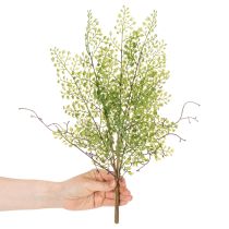 Article Branche de ruscus artificielle verte pour décoration florale, 41 cm