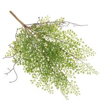 Article Branche de ruscus artificielle verte pour décoration florale, 41 cm