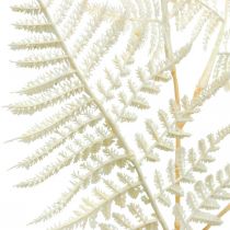 Article Fougère feuille décorative, plante artificielle, branche de fougère, feuille de fougère décorative blanche L59cm