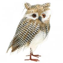Article Hibou déco, automne, animal de la forêt, décoration hiver H27cm