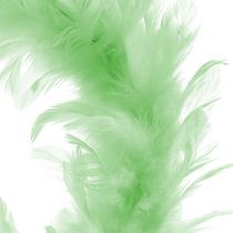 Couronne de plumes Vert clair Ø15cm 4pcs