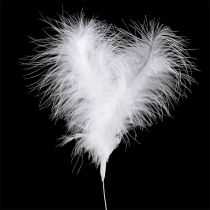 Article Plumes sur fil L27cm blanc 6 pcs