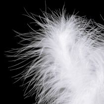 Article Plumes sur fil L27cm blanc 6 pcs