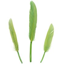 Article Plumes décoratives pour une ambiance élégante et une décoration impressionnante 10 cm