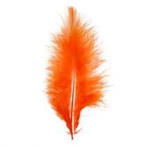 Article Plumes courtes 30g Orange