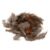 Article Plumes pour des idées de loisirs créatifs variées, design et décoration, 5 cm, 3 g