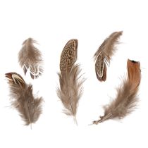 Article Plumes pour des idées de loisirs créatifs variées, design et décoration, 5 cm, 3 g
