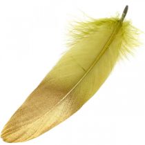 Plumes pour travaux manuels Plumes déco Vert-Doré L16-20cm 24pcs