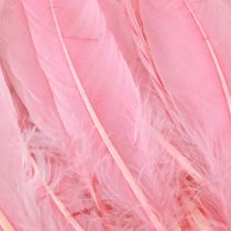 Article Plumes pour travaux manuels Plumes d'oie rose 18cm - 20cm 20g x 2pcs