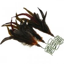 Article Décoration plumes colorées sur fil de fer déco printemps H35cm 3pcs