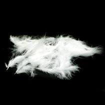 Article Plumes Blanches Véritables plumes d&#39;oiseaux pour décorer les décorations de Pâques 20g